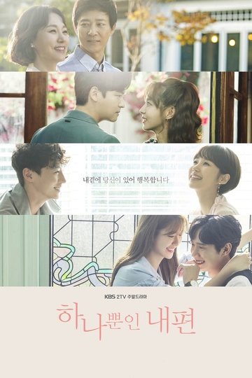 Locandina di 하나뿐인 내편