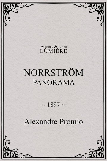 Locandina di Norrström: panorama