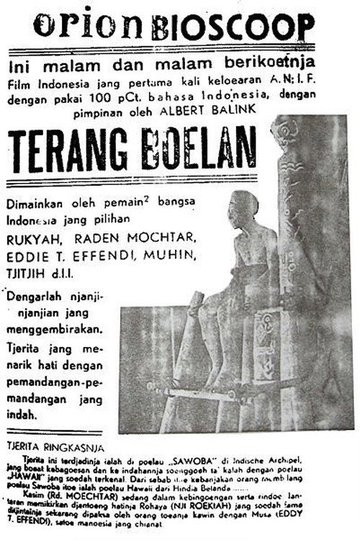 Locandina di Terang Boelan