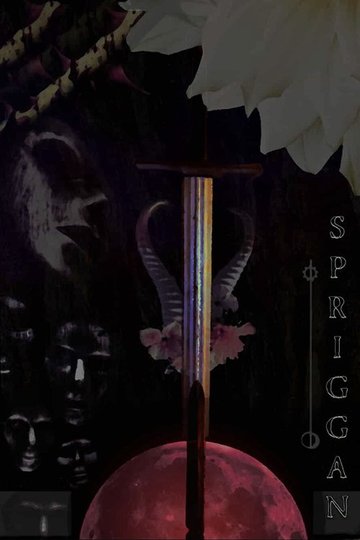 Locandina di Spriggan