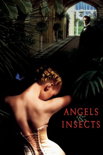 Locandina di Angeli e insetti