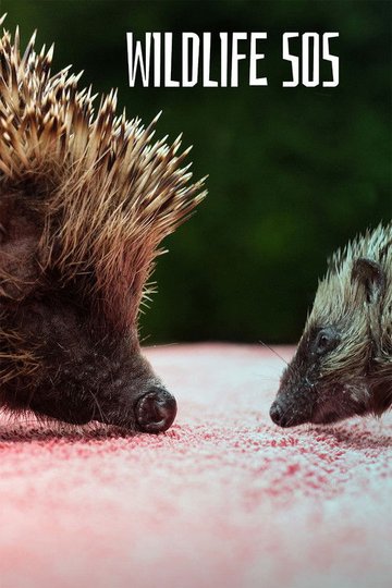 Locandina di Wildlife SOS
