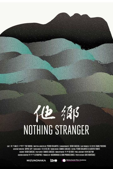 Locandina di Nothing Stranger