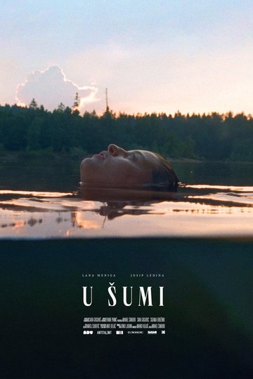 Locandina di U šumi