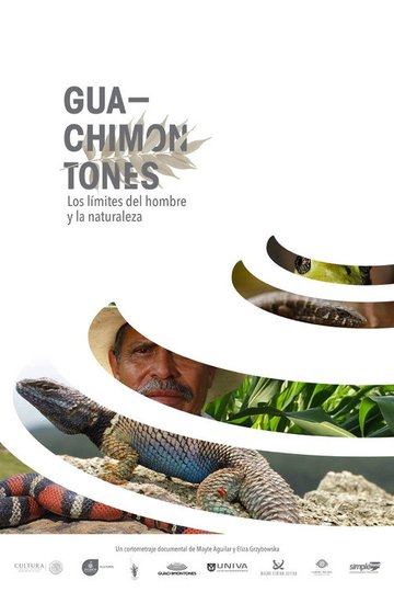 Locandina di Guachimontones, los límites del hombre y la naturaleza.