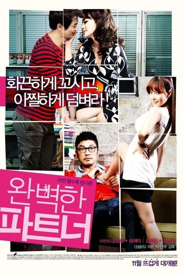 Locandina di 완벽한 파트너