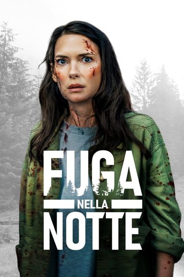 Locandina di Fuga nella notte