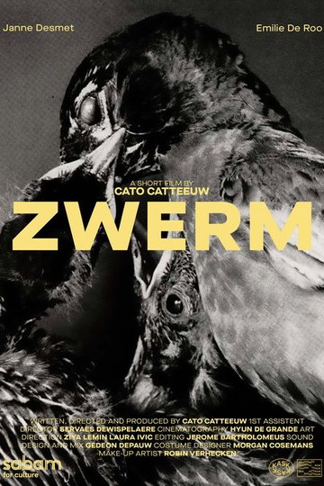 Locandina di ZWERM