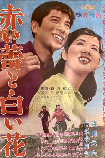 Locandina di 赤い蕾と白い花