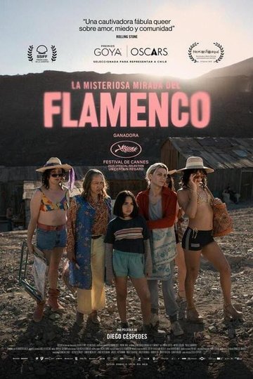 Locandina di Lo sguardo misterioso del fenicottero