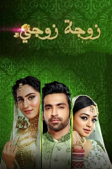 Locandina di Bahu Begum