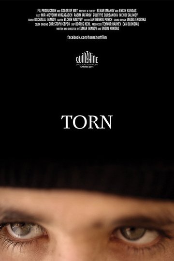 Locandina di Torn