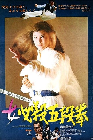 Locandina di Sister Street Fighter: Fifth Level Fist