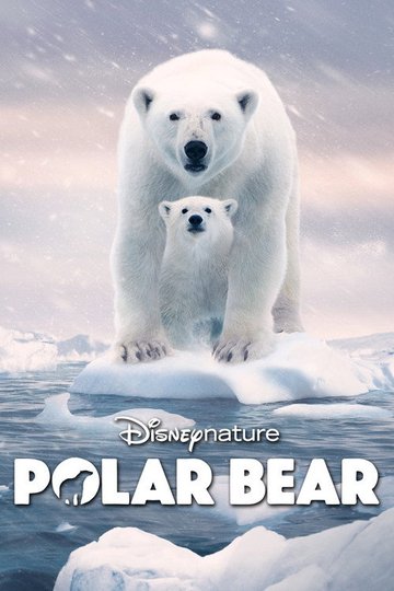 Locandina di Polar Bear