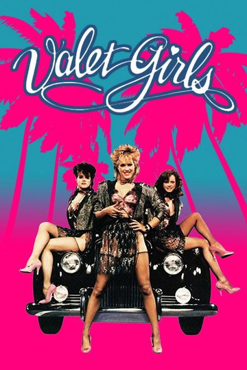 Locandina di Valet Girls
