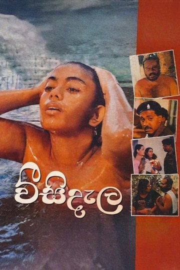 Locandina di වීසි දැල