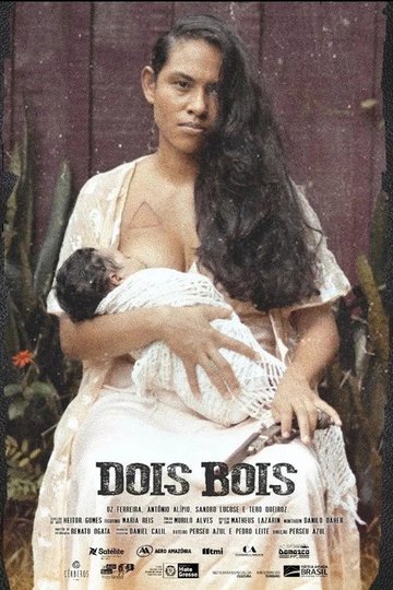 Locandina di Dois Bois