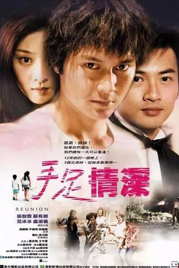 Locandina di 手足情深