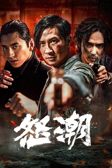 Locandina di 怒潮