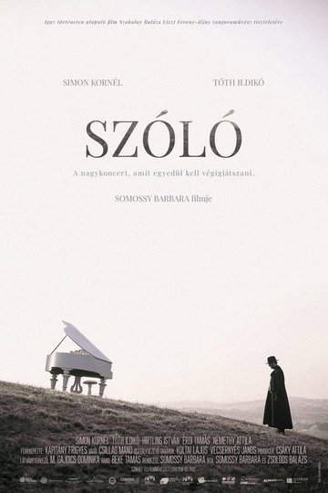 Locandina di Szóló