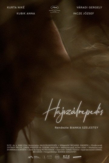 Locandina di Hajszálrepedés