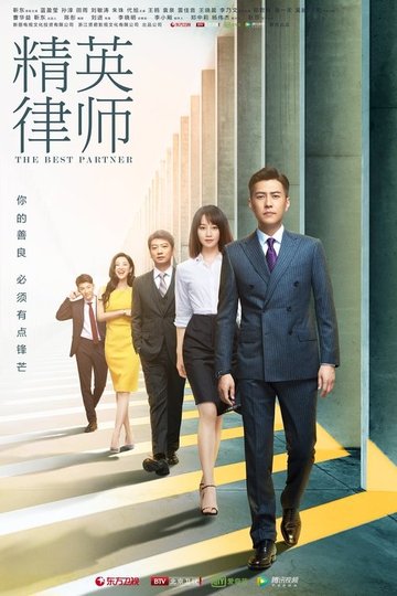 Locandina di 精英律师