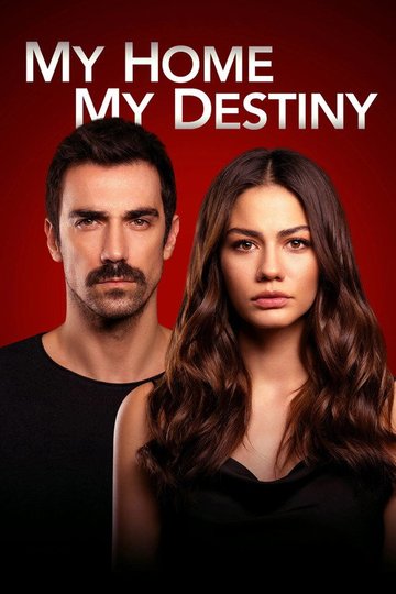 Locandina di My home my destiny