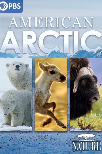 Locandina di American Arctic