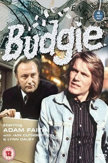 Locandina di Budgie