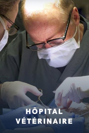 Locandina di Hôpital vétérinaire