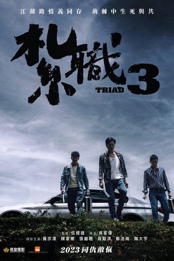 Locandina di 紮職3