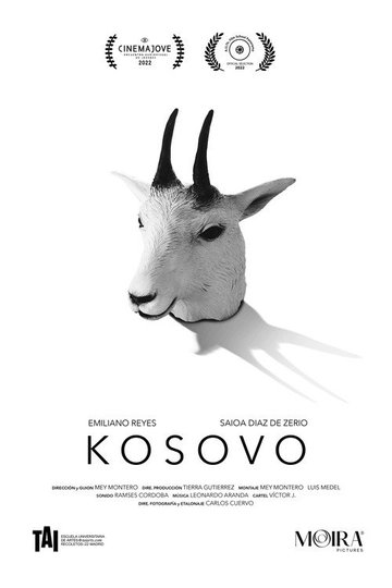 Locandina di Kosovo